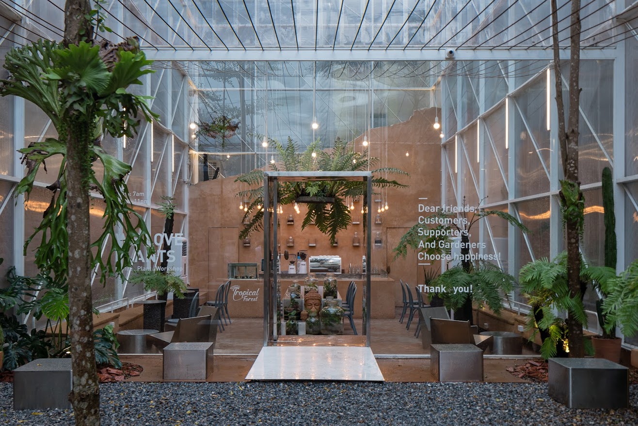 Tropicalforest | tayonestudio