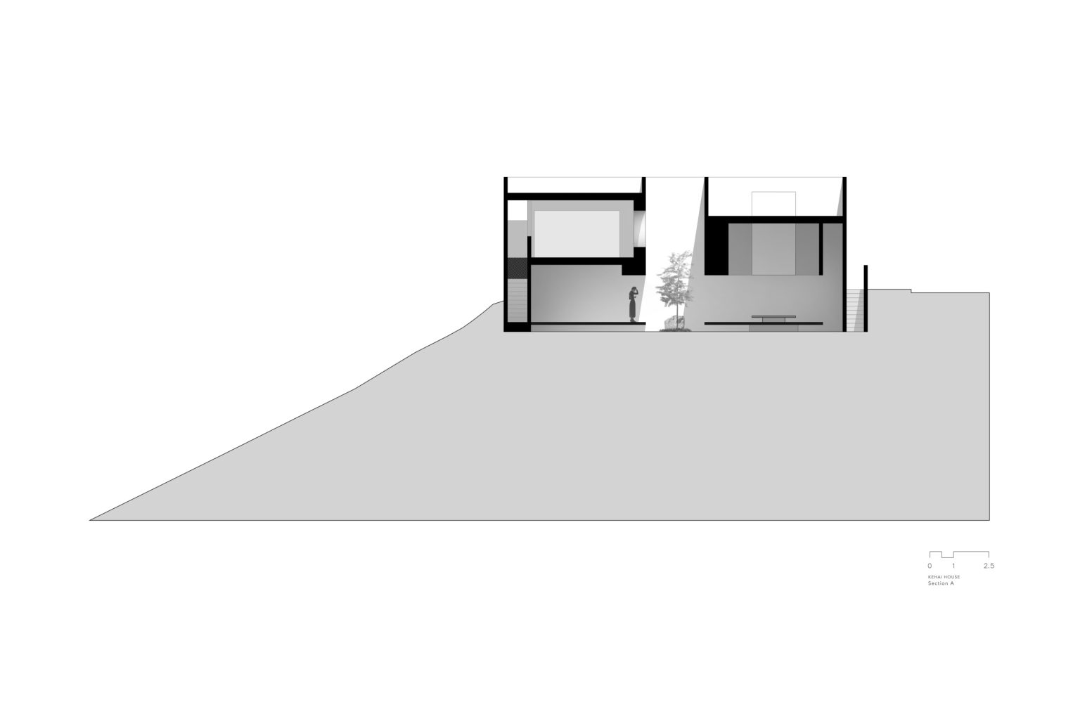 section a